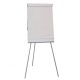 Budget Telescopic Flip Chart Easel