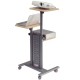 Multi Media Projection Trolley with Height Adjustable Rotating & Tilting Platforms