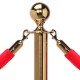 RopeMaster Ball Top Rope Barrier Post