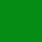 Green Nyloop
